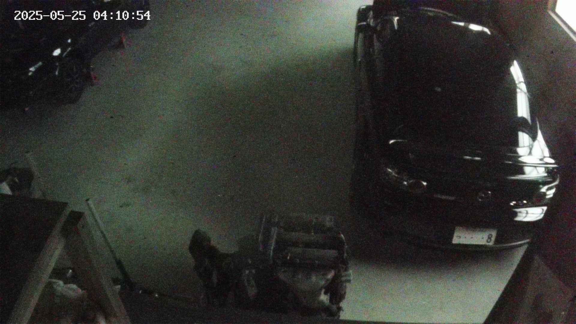 yotec5-20250525041055.jpg