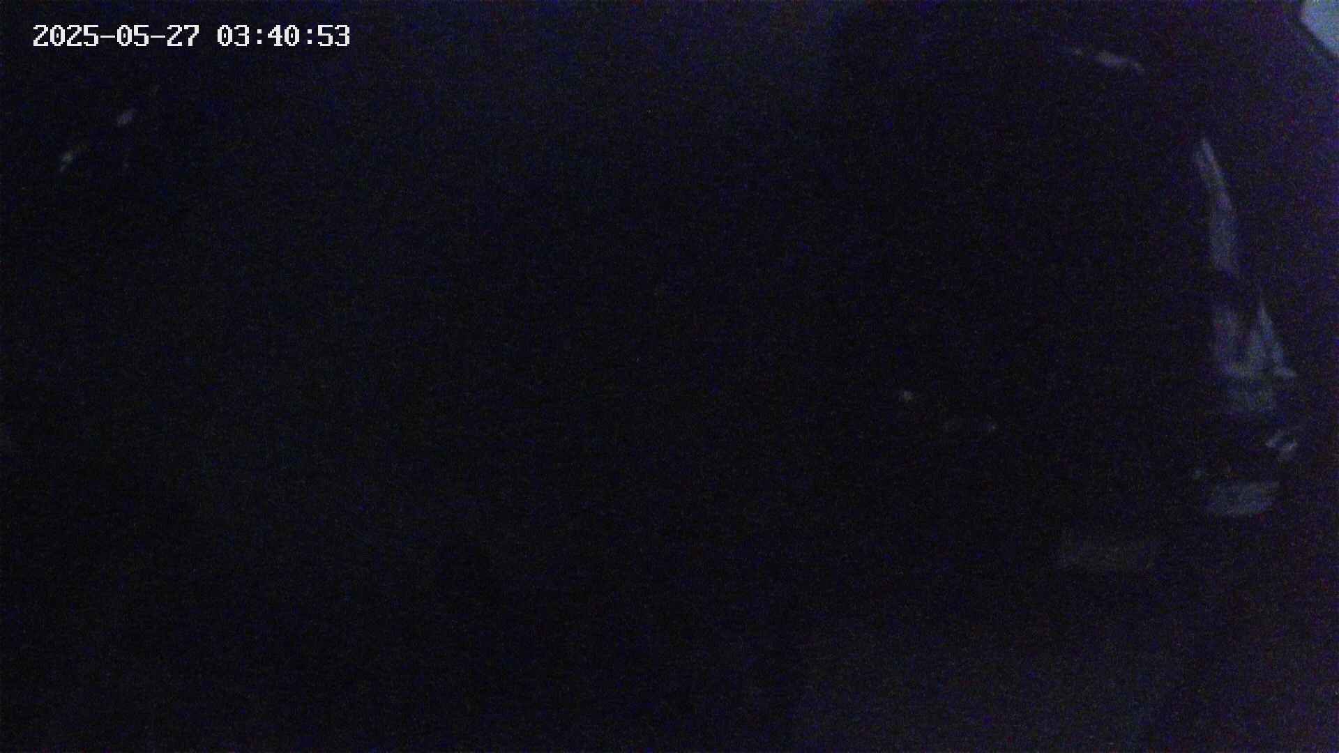 yotec5-20250527034053.jpg