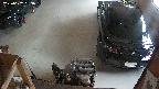yotec5-20250602183057.jpg