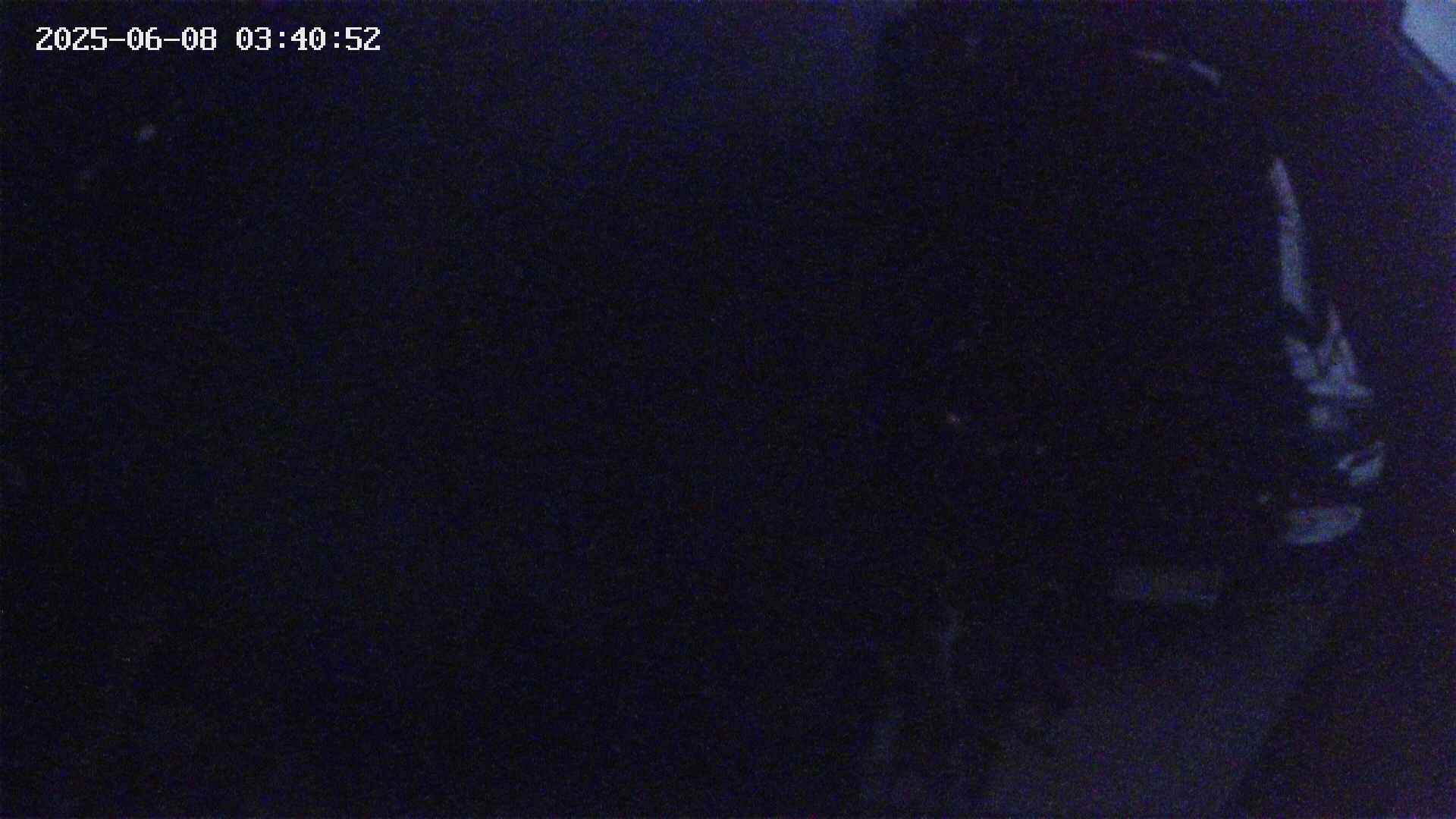 yotec5-20250608034053.jpg