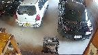 yotec5-20250621062054.jpg