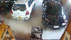 yotec5-20250621064055.jpg
