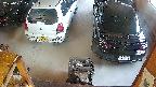 yotec5-20250621071056.jpg