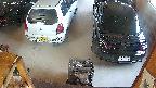 yotec5-20250621082055.jpg