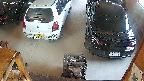 yotec5-20250621084057.jpg