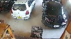 yotec5-20250621090100.jpg
