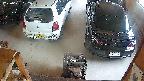 yotec5-20250621092055.jpg
