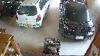yotec5-20250621110054.jpg