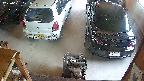 yotec5-20250621121059.jpg