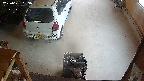 yotec5-20250621133053.jpg