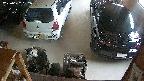 yotec5-20250622052057.jpg