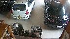 yotec5-20250622060058.jpg