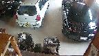 yotec5-20250622094055.jpg