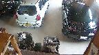 yotec5-20250623141056.jpg