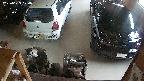 yotec5-20250623170054.jpg