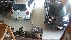 yotec5-20250624165055.jpg