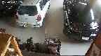 yotec5-20250624182058.jpg