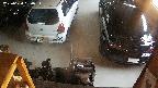 yotec5-20250624190054.jpg