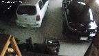 yotec5-20250624192058.jpg