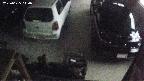 yotec5-20250625040056.jpg