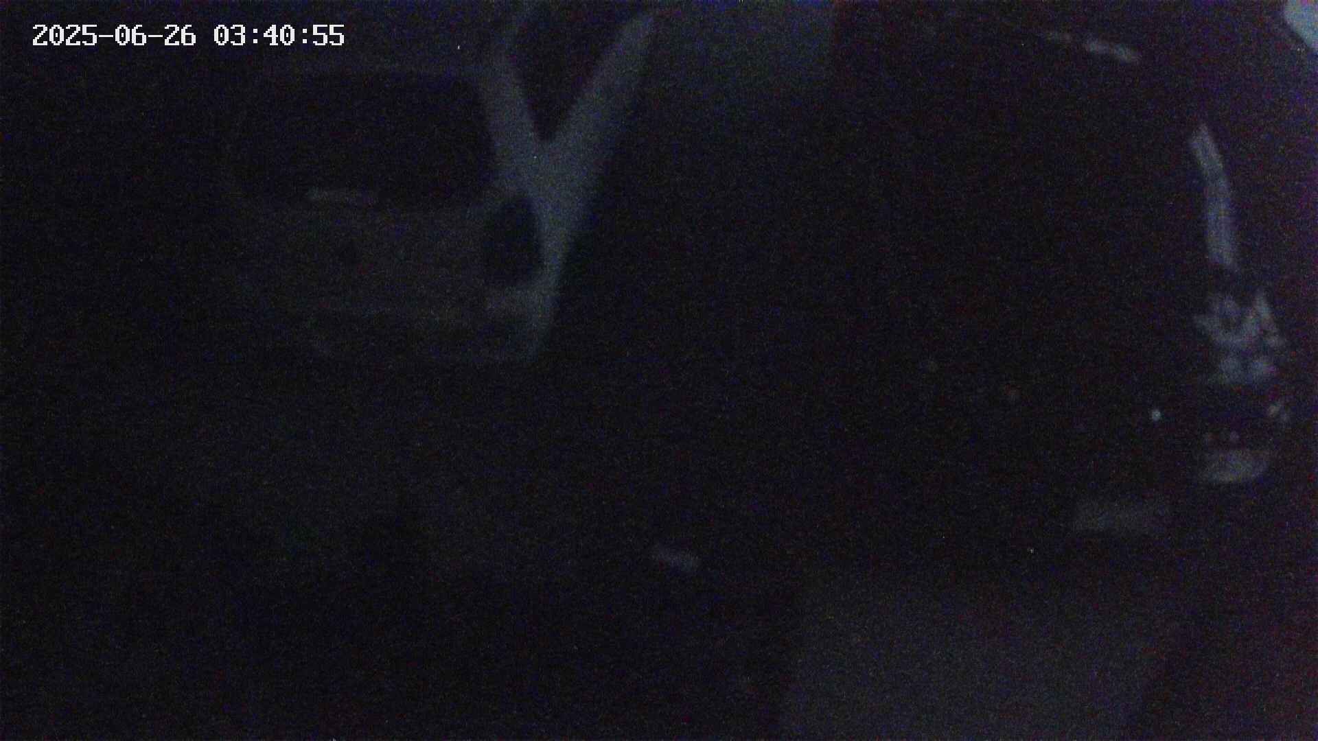 yotec5-20250626034056.jpg