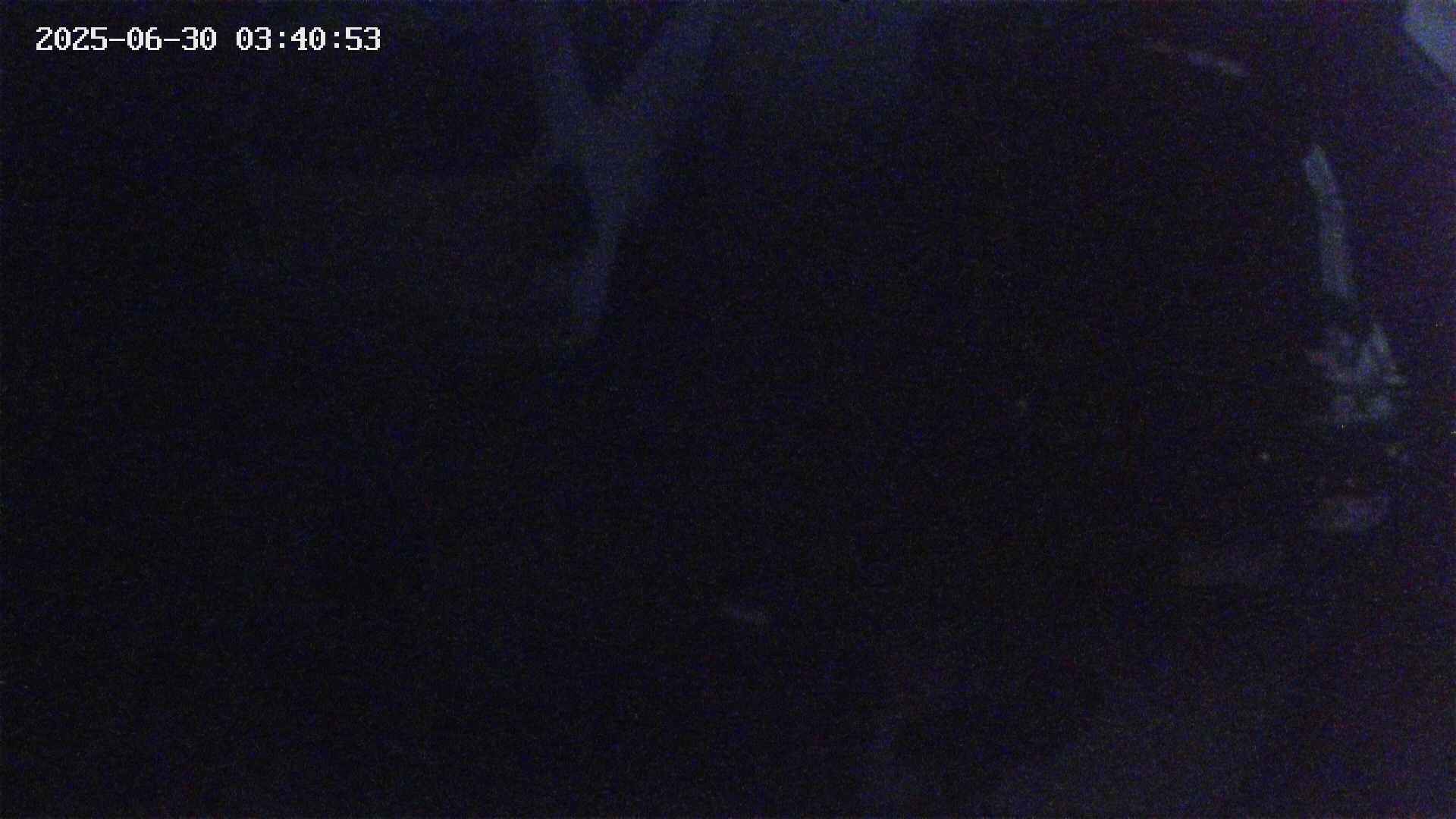 yotec5-20250630034054.jpg