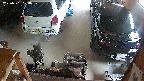 yotec5-20250701120058.jpg