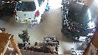 yotec5-20250701123059.jpg