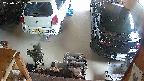 yotec5-20250701132056.jpg
