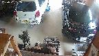 yotec5-20250701151054.jpg