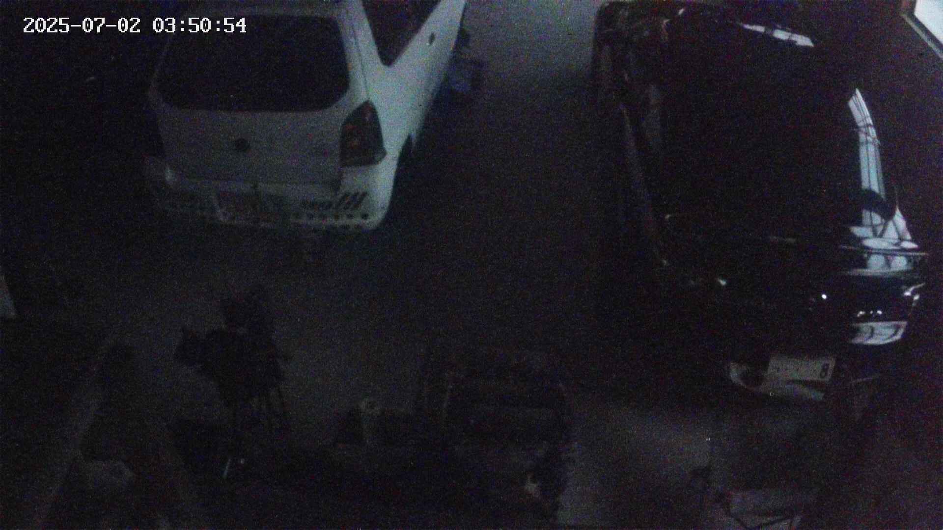 yotec5-20250702035055.jpg