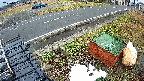 yotec6-20230101144112.jpg