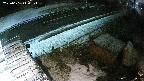 yotec6-20230101210106.jpg