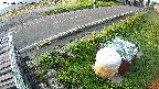 yotec6-20230505054111.jpg