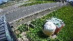 yotec6-20230505140110.jpg