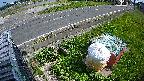 yotec6-20230505150111.jpg