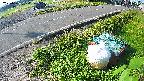 yotec6-20230606064110.jpg