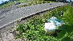 yotec6-20230606093111.jpg