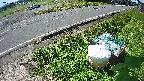 yotec6-20230606095110.jpg