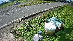 yotec6-20230606100112.jpg