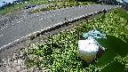 yotec6-20230606103110.jpg
