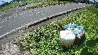 yotec6-20230606104111.jpg