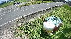 yotec6-20230606123111.jpg