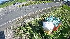 yotec6-20230606155110.jpg