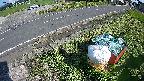 yotec6-20230606160111.jpg