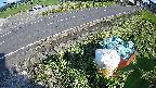 yotec6-20230606164111.jpg