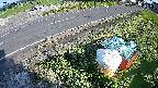 yotec6-20230606165112.jpg