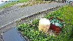 yotec6-20230707042112.jpg