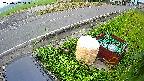 yotec6-20230707043107.jpg