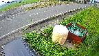 yotec6-20230707050106.jpg